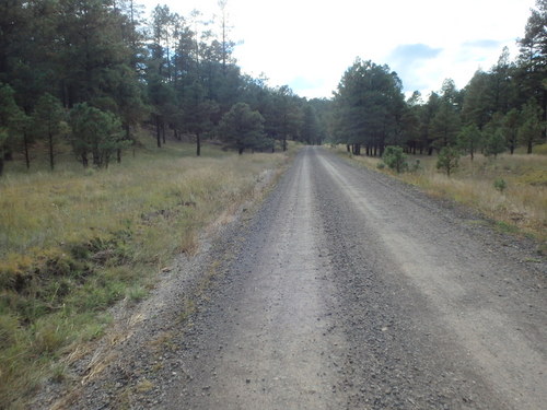 GDMBR: Heading for Collins Park.